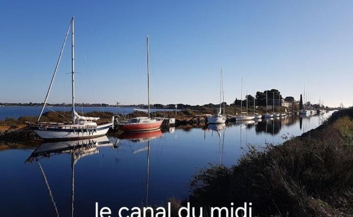 Le Corinthe - Appt Classe 3 Etoiles Et Climatise Marseillan Kültér fotó
